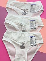 Трусики спідні BAY5100 BAYKAR ТУРЦІЯ