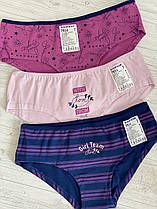 Трусики спідні 7914 BAYKAR ТУРЦІЯ