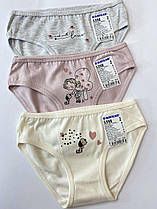 Трусики спідні 5568/ BAYKAR ТУРЦІЯ