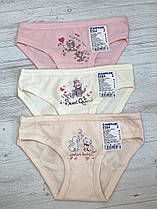 Трусики спідні 5564 BAYKAR ТУРЦІЯ