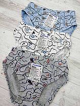 Трусики спідні 3651 BAYKAR ТУРЦІЯ