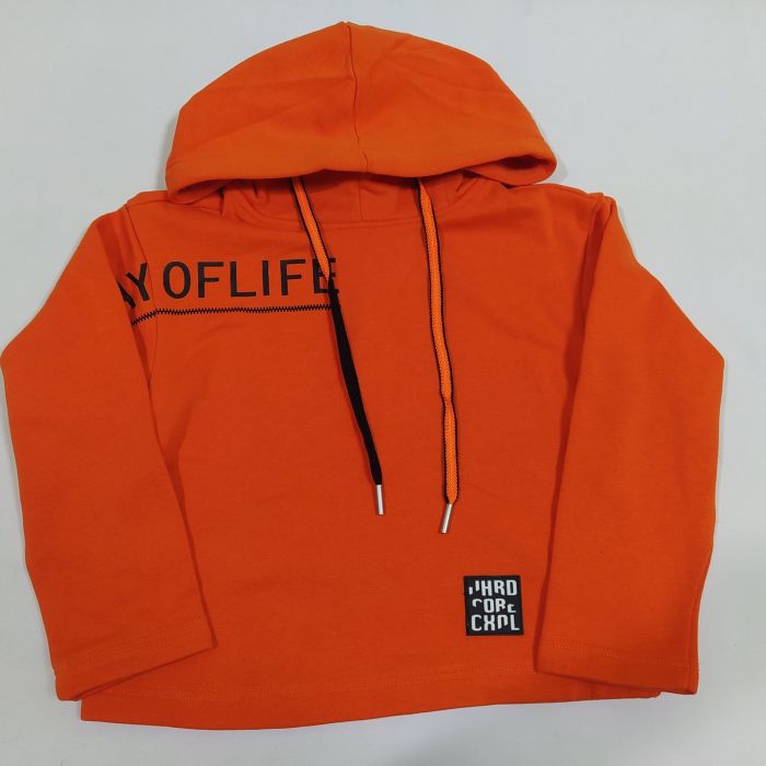 Худі 21570 DELORAS