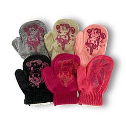 Рукавиці R115 PAK ПОЛЬЩА