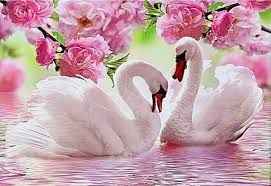 Набір для творчості SGK75229 STRATEG УКРАЇНА