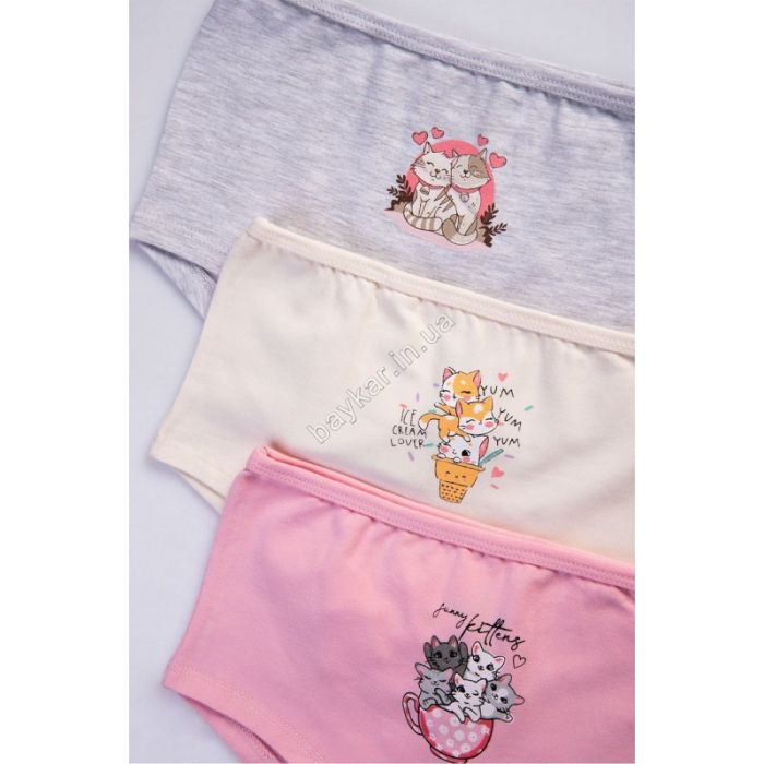 Трусики спідні 5684 BAYKAR ТУРЦІЯ