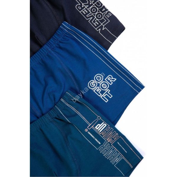 Боксери спідні 3966/бок BAYKAR ТУРЦІЯ