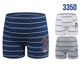 Боксери спідні BAY3350 BAYKAR ТУРЦІЯ