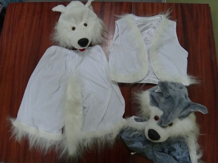 Костюм казкового героя ЛАЙКА DAVIDS STAR УКРАЇНА